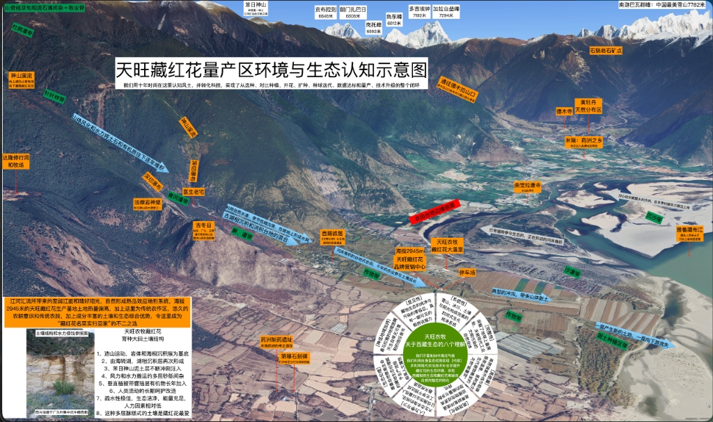 天旺藏红花量产区环境与生态认知示意图